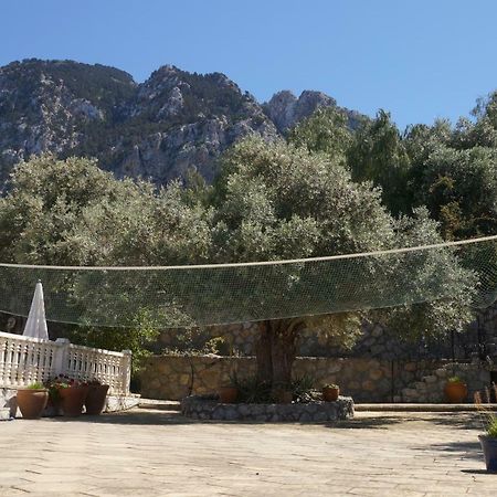 קיירניה Villa Layla מראה חיצוני תמונה