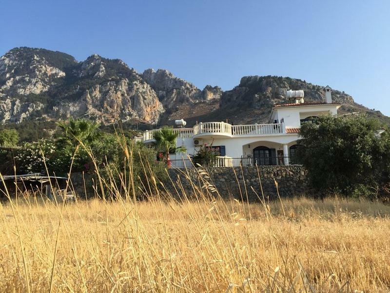 קיירניה Villa Layla מראה חיצוני תמונה