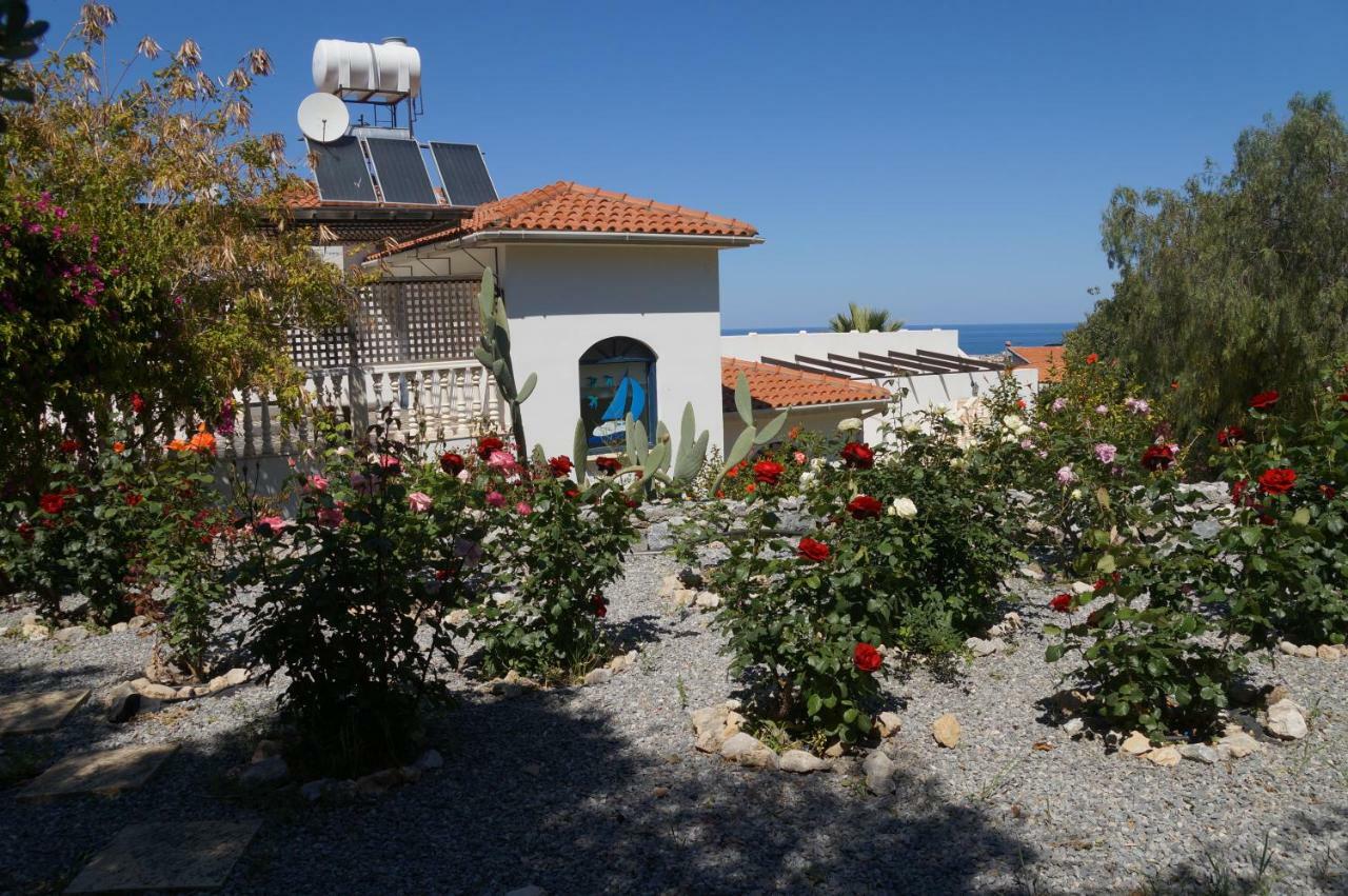 קיירניה Villa Layla מראה חיצוני תמונה